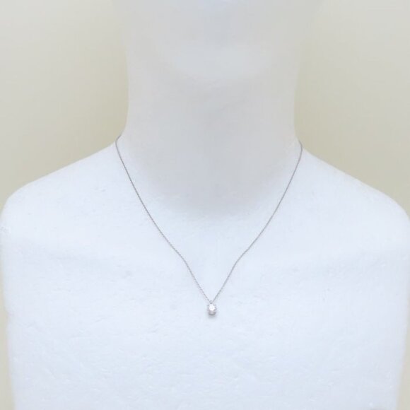 TIFFANY Silver Diamond Necklace - Picture 2 of 9